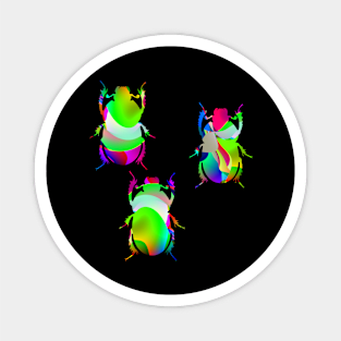 Psychedelic Beetles Silhouette Art Magnet